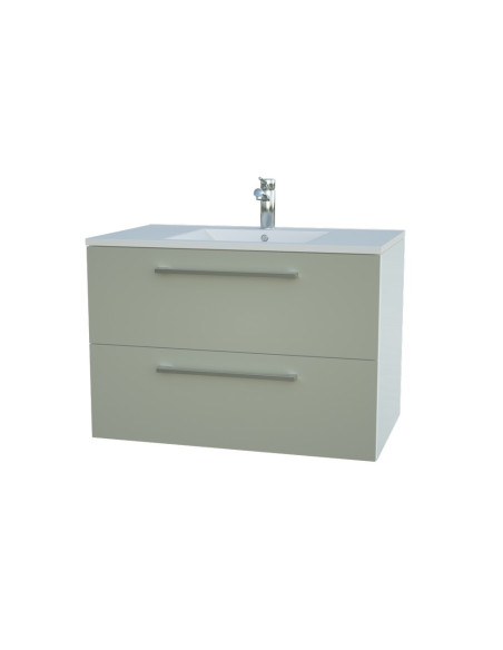 Pakabinama spintelė su praustuvu Allegro 76