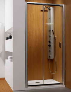 Radaway Premium Plus DWJ...