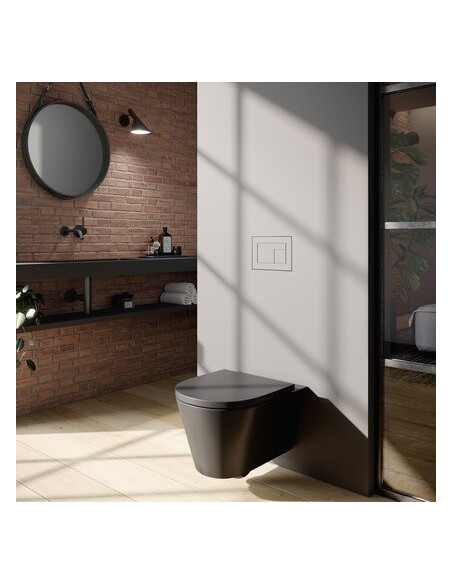 WC mygtukas TECEvelvet