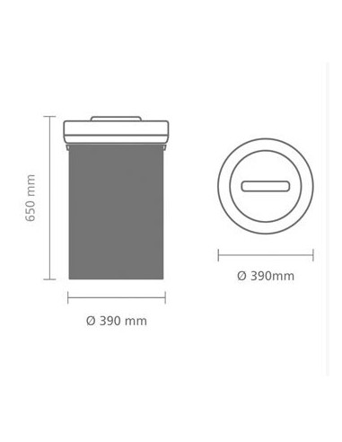 Brabantia Šiukšlių dėžė Big Bin 60L