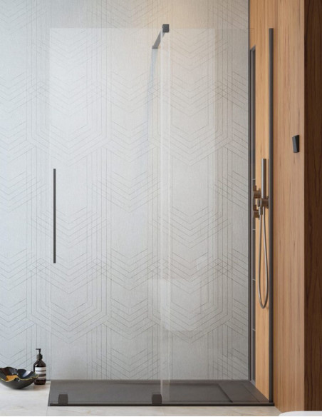 Radaway Furo Brushed GunMetal Walk-in dušo sienelė