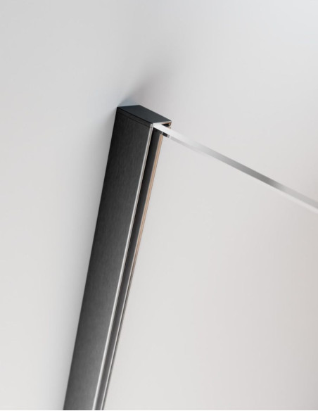 Radaway Modo New Brushed GunMetal II nejudanti dušo sienelė