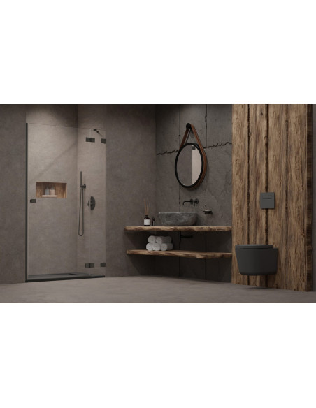 Dušo durys Essenza Pro Brushed GunMetal DWJ