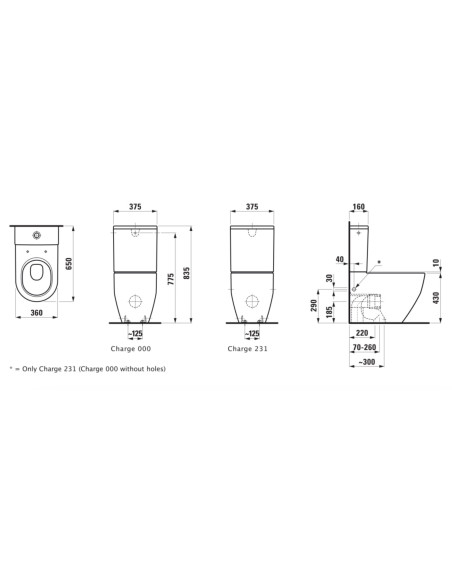 Pastatomas klozetas Laufen Pro New 3/5ltr + SoftClose dangtis