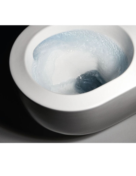 Pakabinamas unitazas Hatria TECNA PURE VORTEX su soft close dangčiu