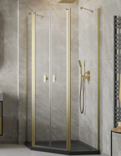 Penkiakampė dušo kabina Radaway Nes Brushed Gold PTD
