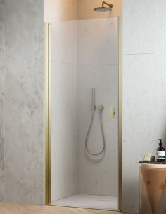 Radaway Nes Brushed Gold DWJ I dušo durys