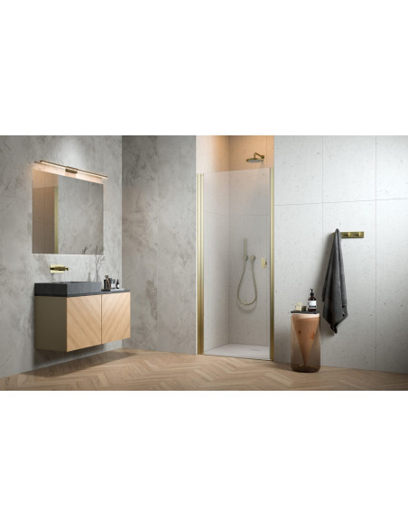 Radaway Nes Brushed Gold DWJ I dušo durys