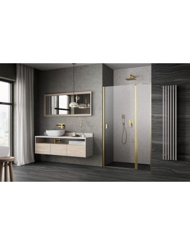Radaway Nes Brushed Gold DWJ II dušo durys