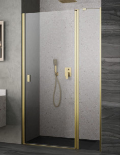 Radaway Nes Brushed Gold DWJ II dušo durys