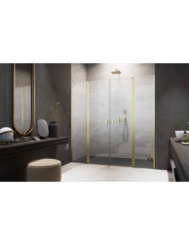 Radaway NES Brushed Gold DWD II dušo durys