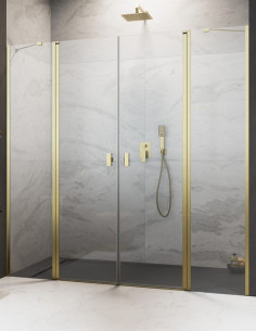 Radaway NES Brushed Gold DWD II dušo durys