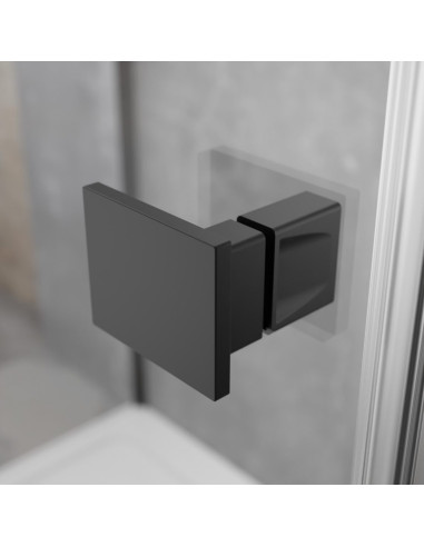 Radaway Essenza 8 Black DWJ dušo durys