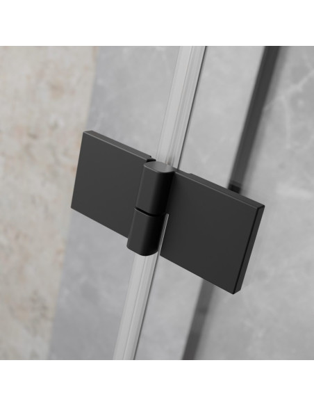 Radaway Essenza 8 Black DWJ dušo durys