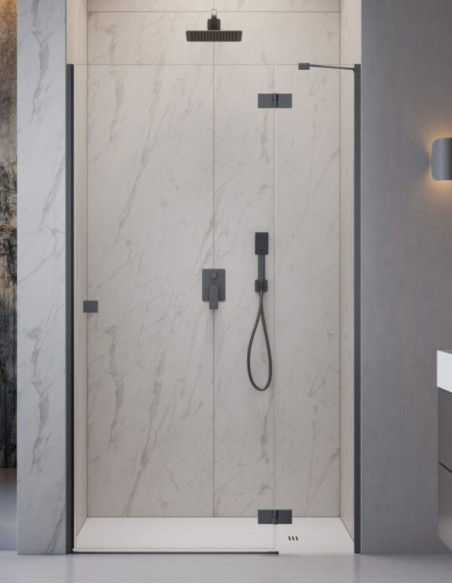 Radaway Essenza 8 Brushed GunMetal DWJ dušo durys