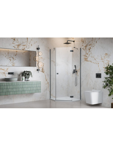 Radaway Essenza 8 Brushed GunMetal PTJ penkiakampė dušo kabina