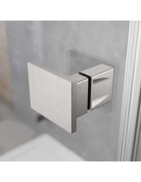 Radaway Essenza 8 Brushed Nickel PTJ penkiakampė dušo kabina