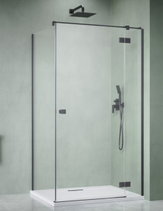Radaway Essenza Brushed...