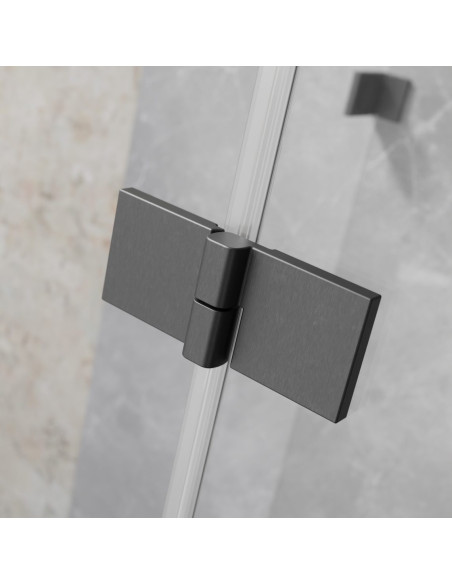 Radaway Essenza Brushed GunMetal KDJ kampinė dušo kabina