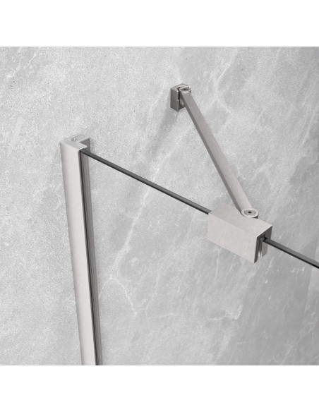 Radaway Essenza Brushed Nickel PTJ penkiakampė dušo kabina
