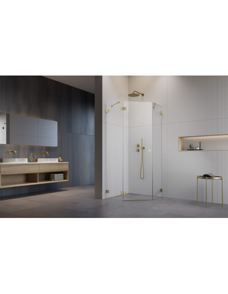 Penkiakampė dušo kabina Radaway Essenza Pro Brushed Nickel PTJ