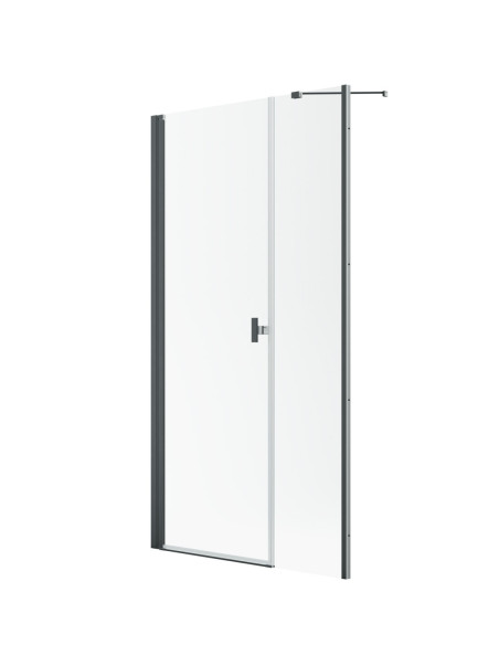 Radaway Nes Brushed GunMetal DWS dušo durys