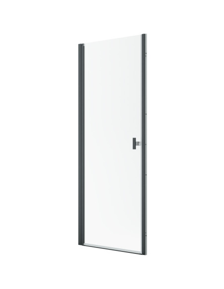 Radaway Nes Brushed GunMetal DWJ I dušo durys