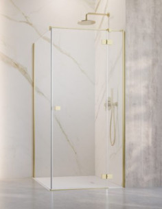 Radaway Essenza Brushed...