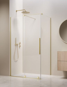 Radaway Furo Brushed Light...