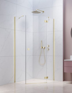 Radaway Essenza Brushed...