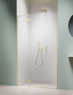 Radaway Essenza Brushed...