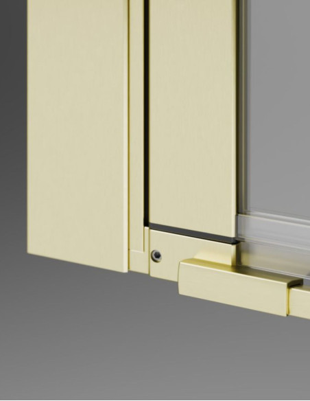 Radaway Nes Brushed Light Gold DWJ II dušo durys