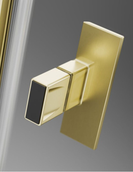 Radaway Nes Brushed Light Gold DWJ II dušo durys