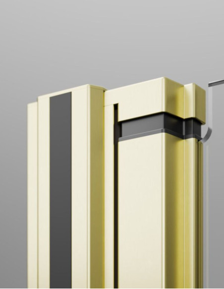 Radaway Nes Brushed Light Gold DWJ II dušo durys