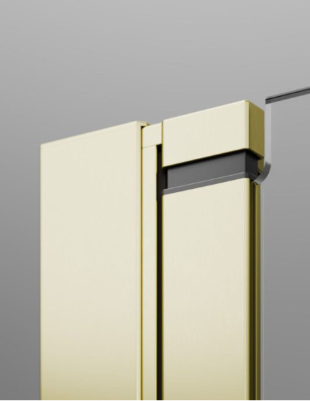 Radaway Nes Brushed Light Gold DWJ II dušo durys