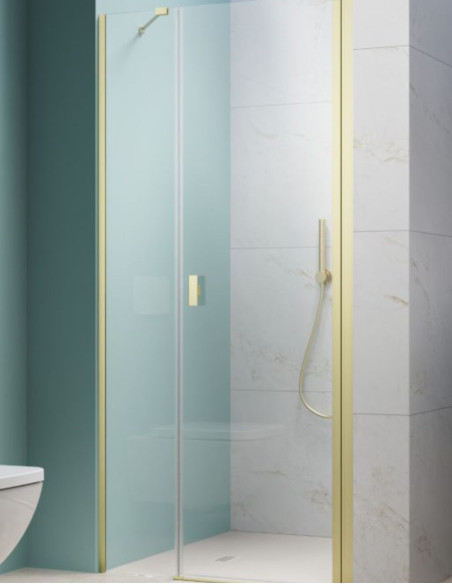 Radaway Nes Brushed Light Gold DWS dušo durys