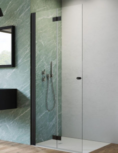 Radaway Nes Black Walk-in...