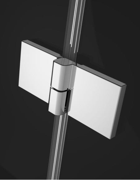 Radaway Nes Chrome Walk-in KDD B dušo kabina