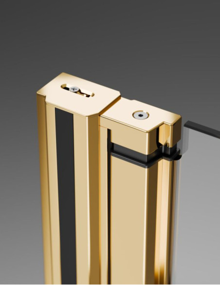 Radaway Nes Gold Walk-in KDD B dušo kabina