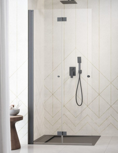 Radaway Nes Brushed Gun Metal Walk-in...