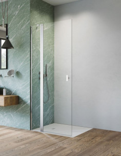 Radaway Nes Chrome Walk-in...