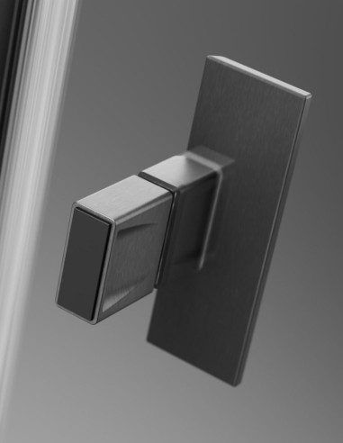 Radaway Nes Brushed Gun Metal Walk-in...