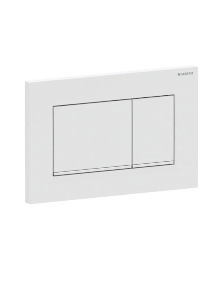 Geberit Sigma20 – kampuotas vandens nuleidimo mygtukas