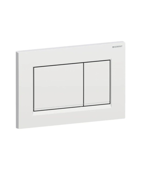 Geberit Sigma20 – kampuotas vandens nuleidimo mygtukas