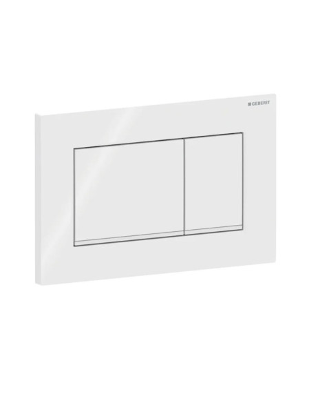 Geberit Sigma20 – kampuotas vandens nuleidimo mygtukas