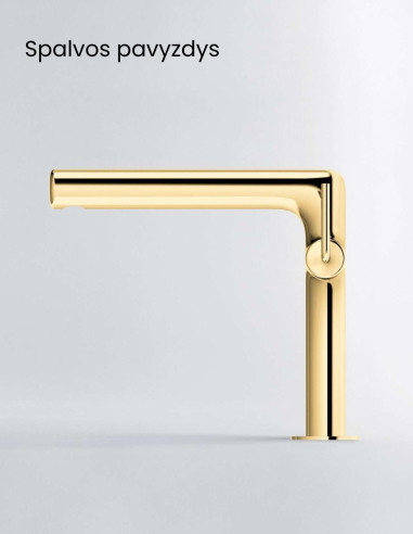 ALPI Allen – Sieninis tualeto šepetys