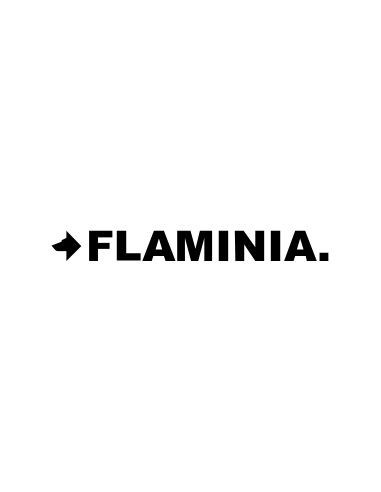 Flaminia