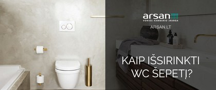 Kaip išsirinkti WC šepetį?